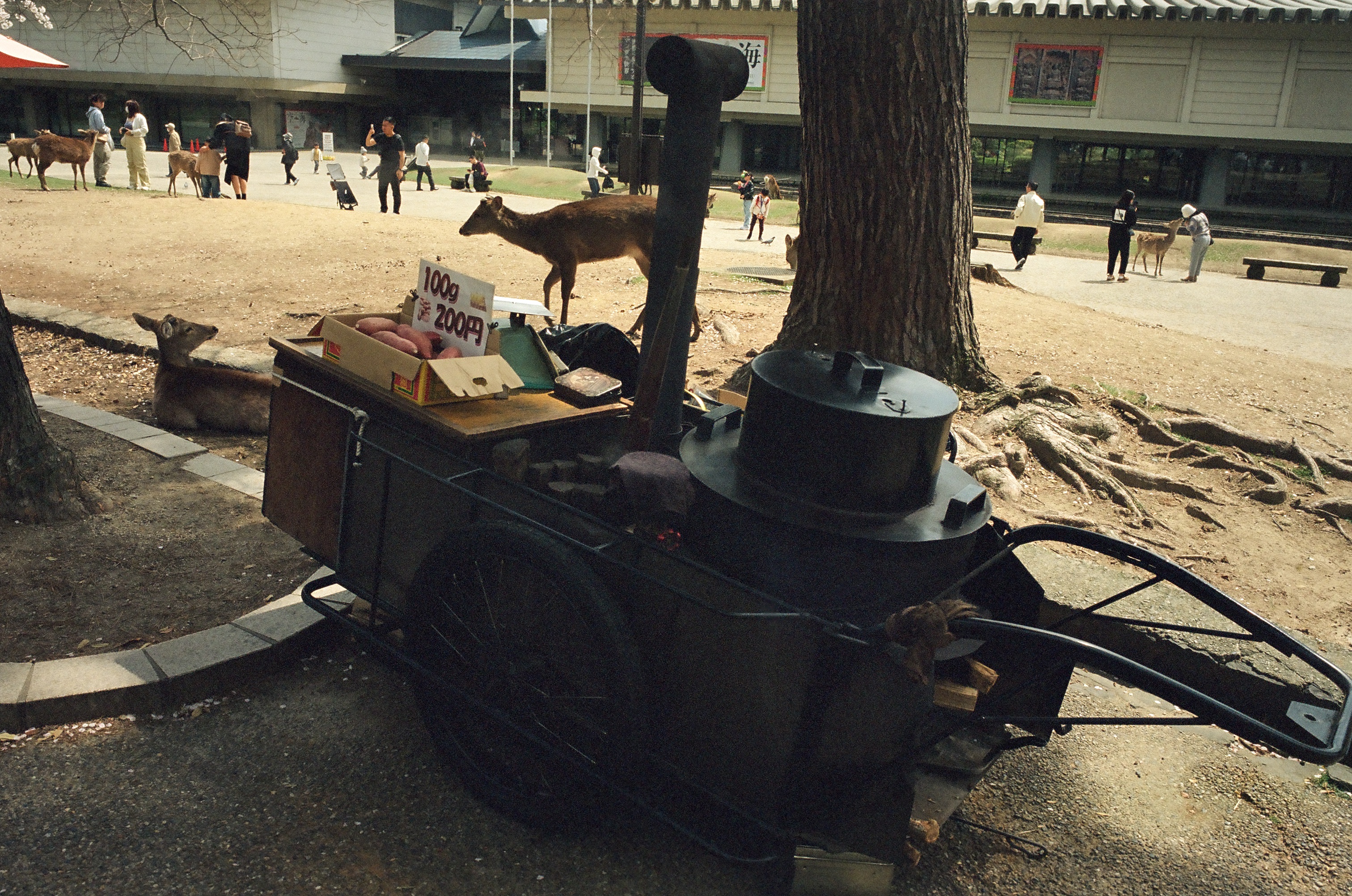 Nara / Arnaud Lemorillon