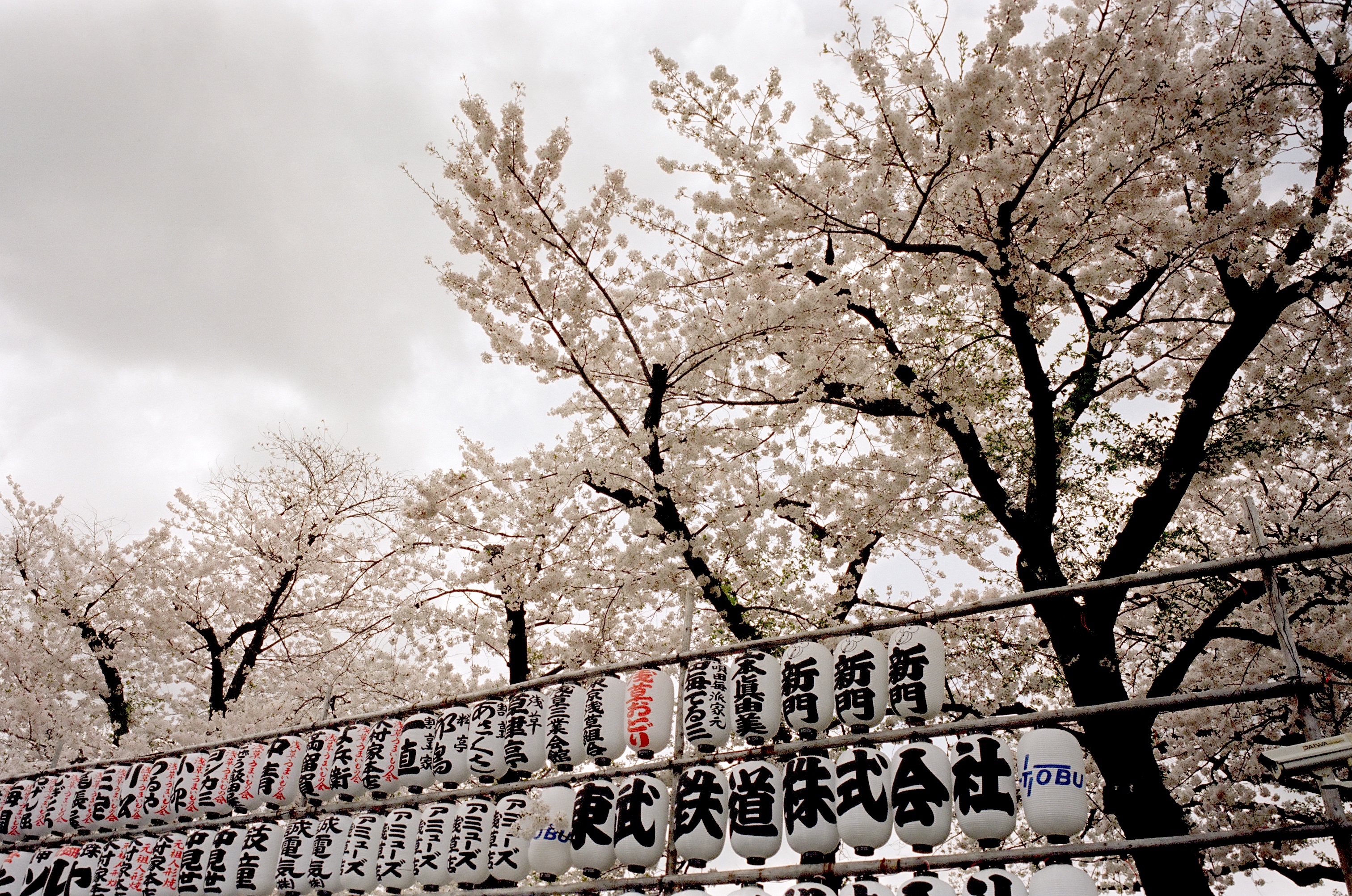 Tokyo / Arnaud Lemorillon